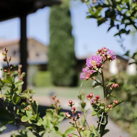 Gospodarstwo wiejskie Il Poeta Contadino