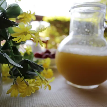 Il Poeta Contadino Ripa